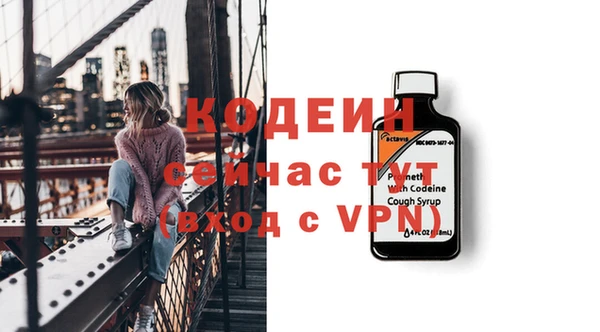 хмурый Аркадак