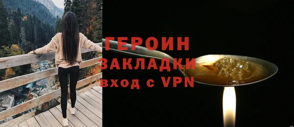 хмурый Аркадак
