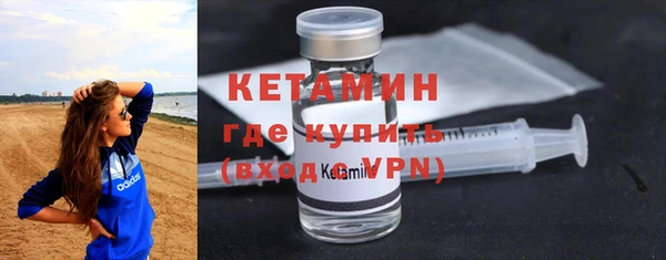 хмурый Аркадак