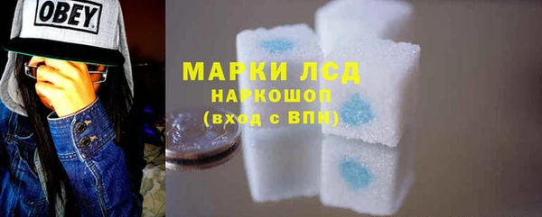 хмурый Аркадак