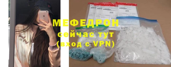 хмурый Аркадак