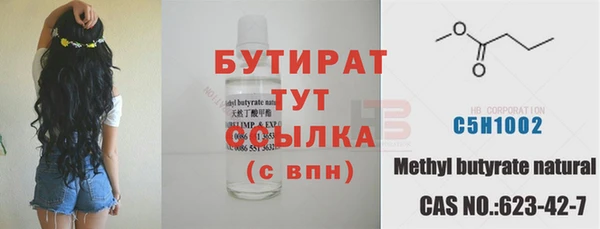 хмурый Аркадак