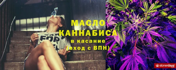 хмурый Аркадак