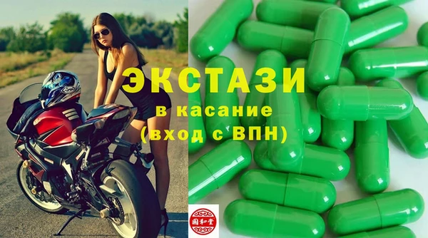 хмурый Аркадак