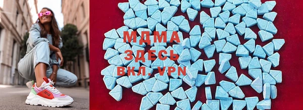 хмурый Аркадак