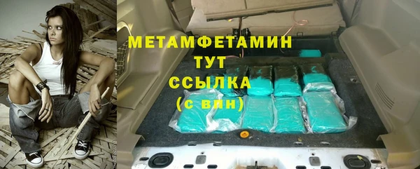 хмурый Аркадак