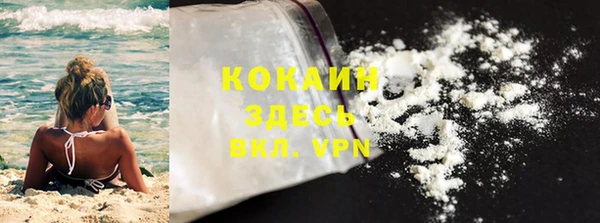 хмурый Аркадак